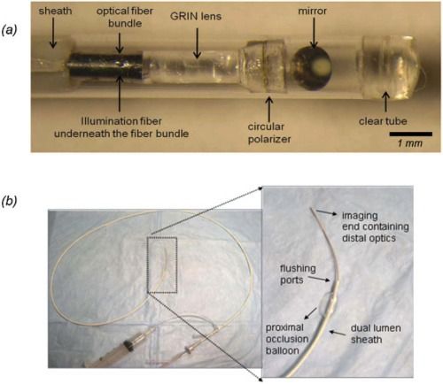 血管內部激光成像技術 實現心臟病發作預測的元件與器件研發