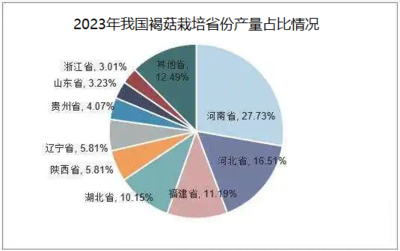 2024年褐菇市場分析 批發價穩健，消費潛力待深挖
